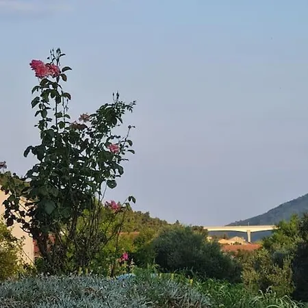 アパート Sagittarius ストン