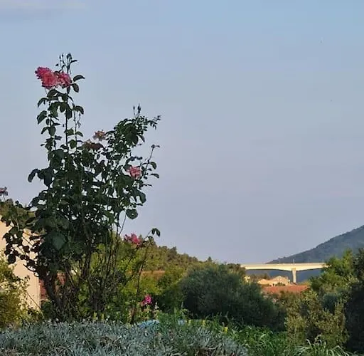 Lejlighed Sagittarius Ston